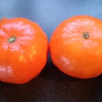satsuma