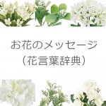 花言葉の辞典