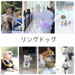 リングドッグ（愛犬と一緒の結婚式）が大成功する方法