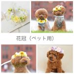 花冠犬猫ペット用販売