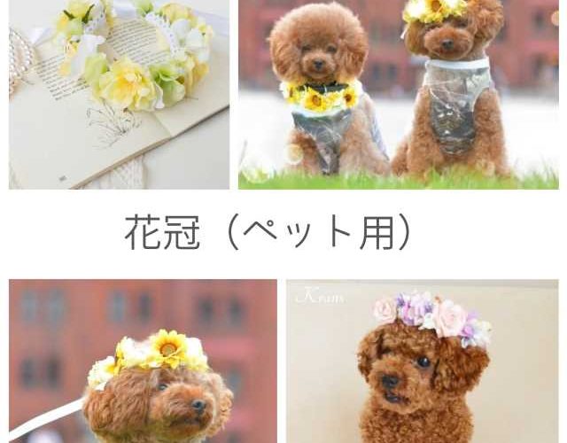 花冠犬猫ペット用販売