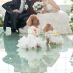 結婚式リングドッグトイプードル