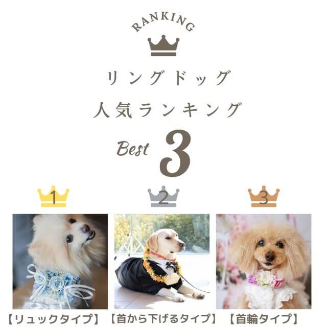 リングドッグおすすめランキング2024
