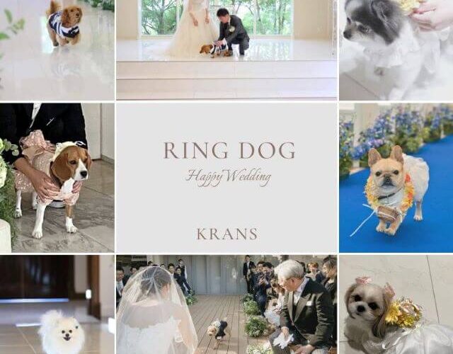 リングドッグ　犬　結婚式　