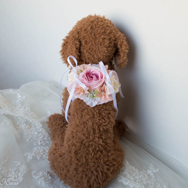 犬　結婚式　衣装　リングドッグ　おすすめ25