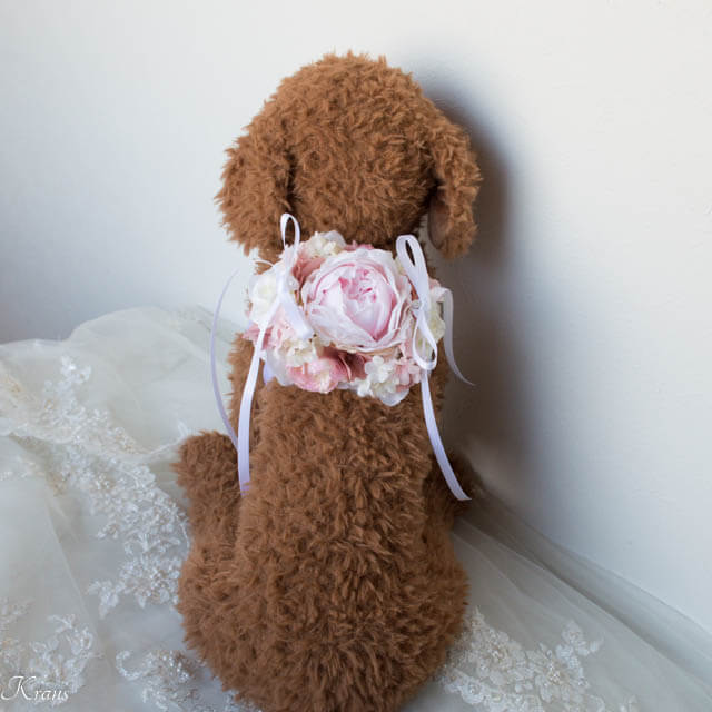 犬　結婚式　衣装　リングドッグ　おすすめ５