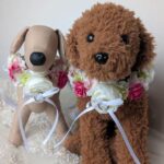KRANSクランス首輪タイプ2匹でリングドッグボーダーコリートイプードル犬と一緒の結婚式３